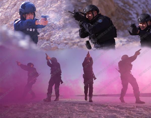 剑锋出鞘 锋从何来——喀什特警全警实战砺精兵