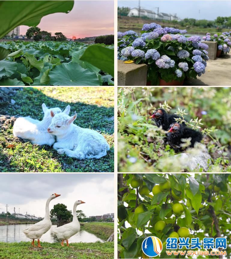 在水一方的清雅之地-3
