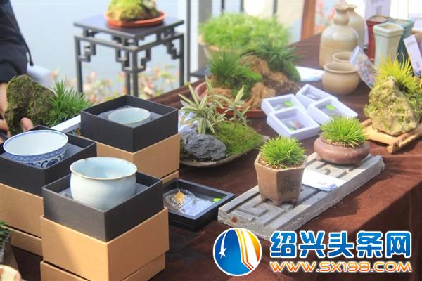 别再错过一个亿-11 别再错过一个亿-11