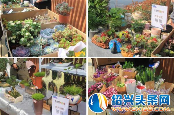这次市集开两天-6 这次市集开两天-6