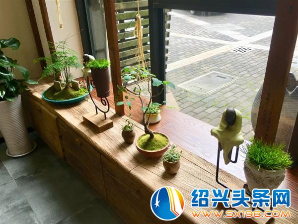 宏卉绿化创始人尹财武-7 宏卉绿化创始人尹财武-7