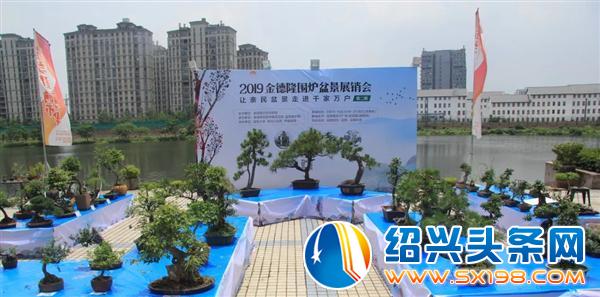 金德隆围炉盆景展-14