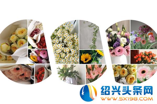 女神节-5 女神节-5