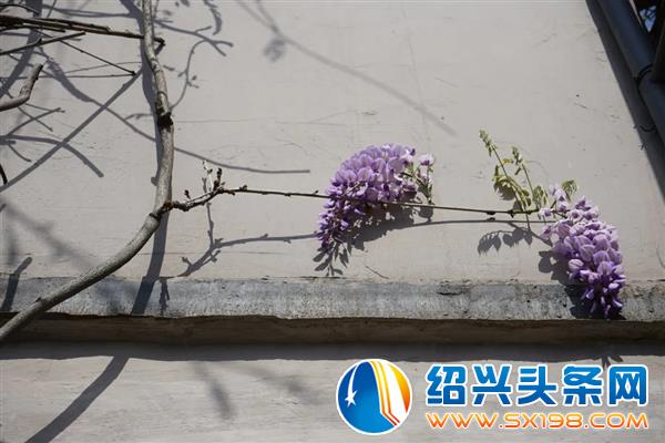 色迷金德隆-20