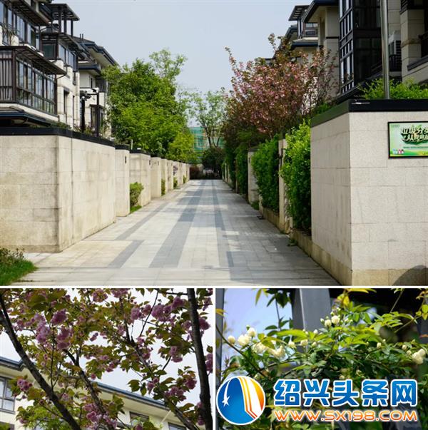 生活在这个地方-5