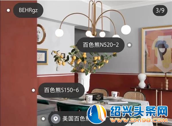 百色熊来了-11