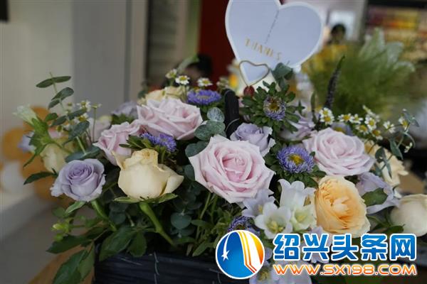 百色熊来了-5