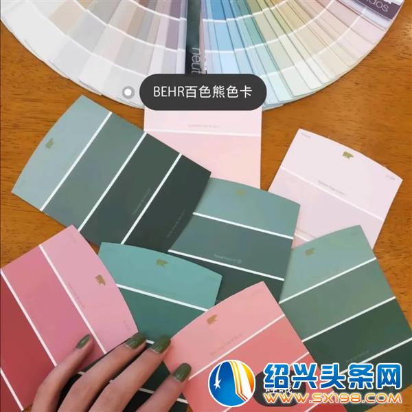 百色熊来了-13
