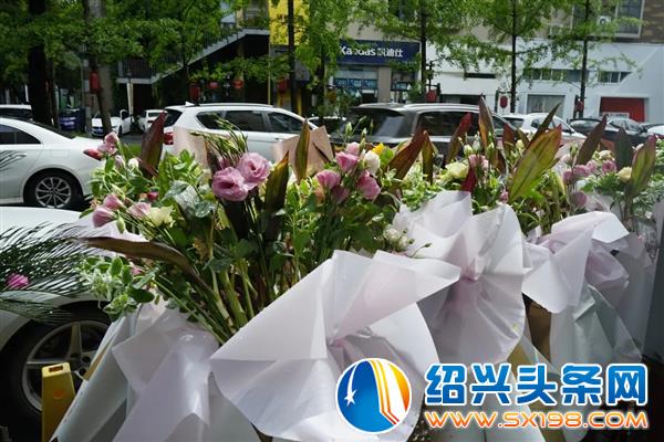 百色熊来了-1