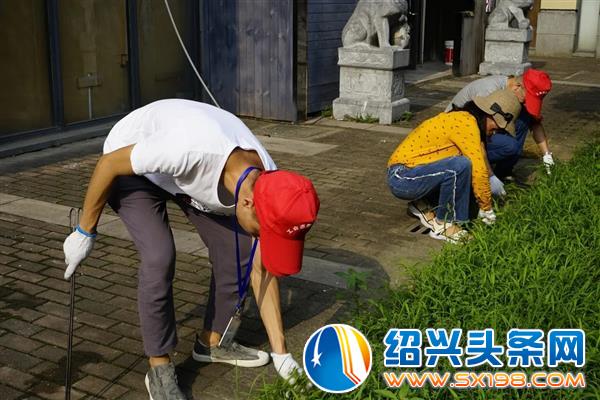 形尔尚党支部与工会成员参与金德隆公共环境整治行动-7