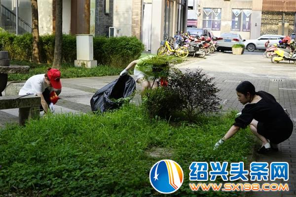 形尔尚党支部与工会成员参与金德隆公共环境整治行动-8