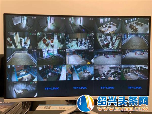 越前数码-4