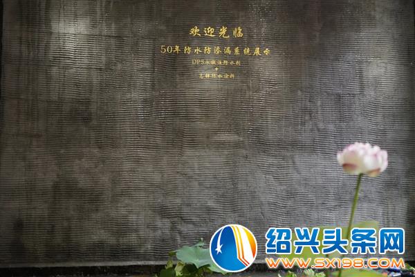 防水防渗漏的系统涂料来绍兴啦-5
