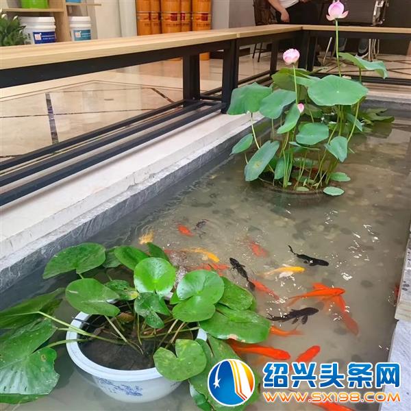 防水防渗漏的系统涂料来绍兴啦-2 防水防渗漏的系统涂料来绍兴啦-2