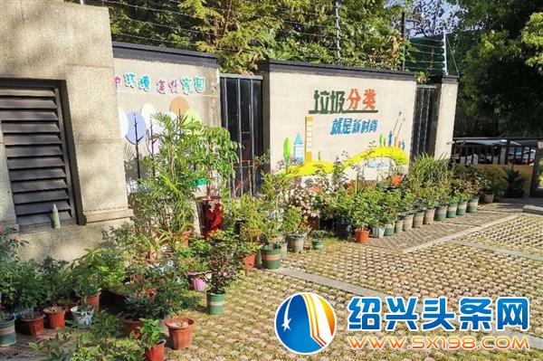 打造了一个开放大花园-8