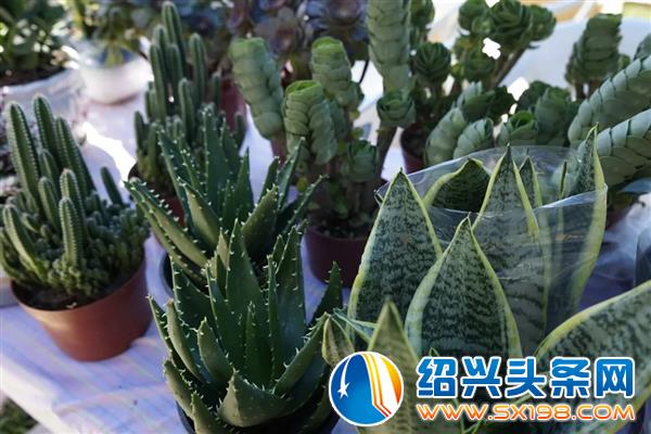 城市发展新活力-8