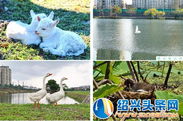 你想要的样子-3