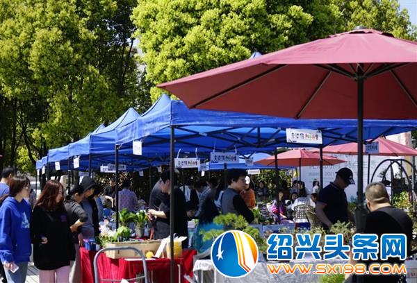 城市发展新活力-18