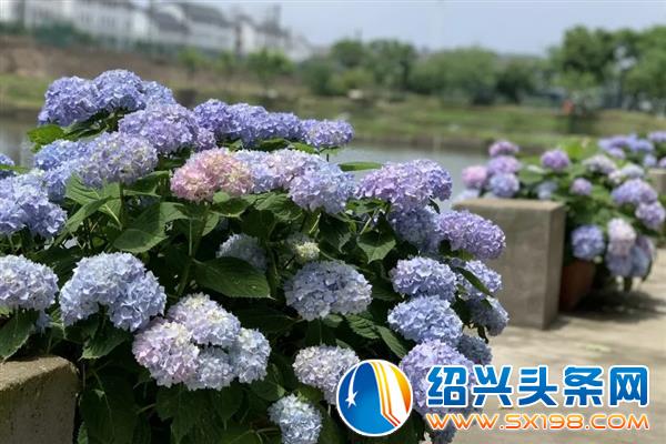 你想要的样子-5