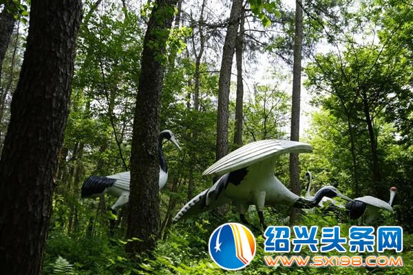 形尔尚家人丽水之行-6