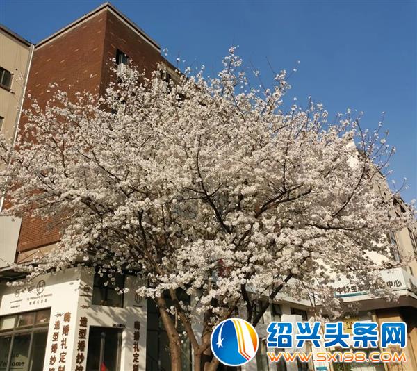 这是一封表白信-9 这是一封表白信-9