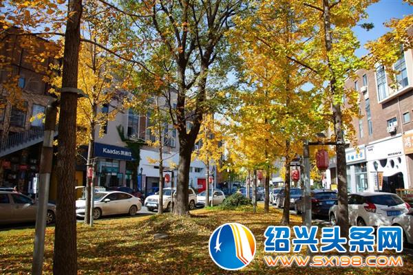 这是一封表白信-4 这是一封表白信-4
