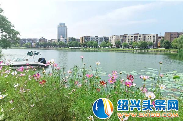 这是一封表白信-10 这是一封表白信-10