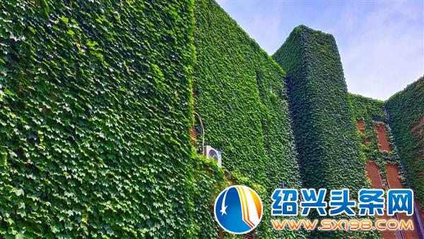 这是一封表白信-7 这是一封表白信-7