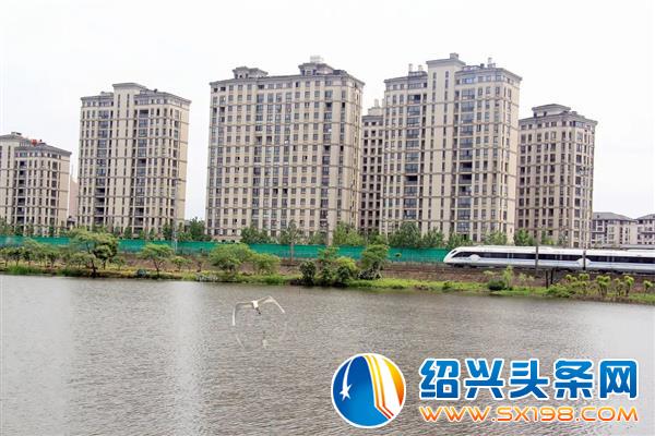 这是一封表白信-5 这是一封表白信-5