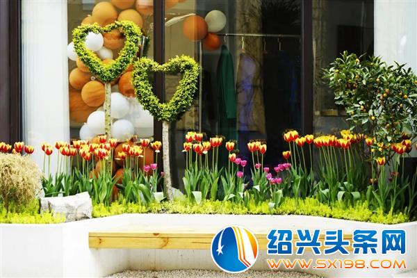 这是一封表白信 这是一封表白信