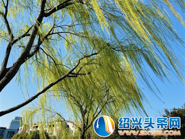 这是一封表白信-8 这是一封表白信-8
