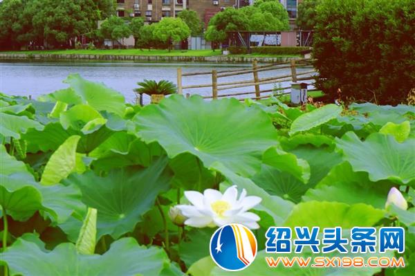 金德隆七月新闻大盘点-15 金德隆七月新闻大盘点-15