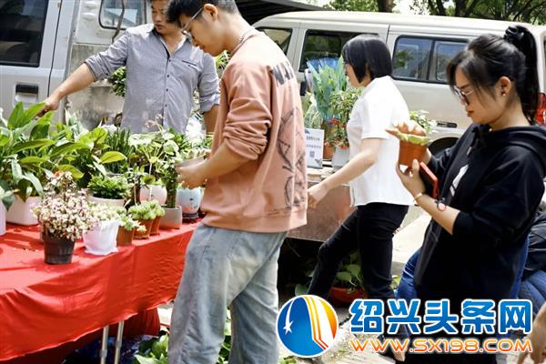 春日专场圆满收官-2