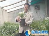 朱灿仁：醉心兰香十八载 甘做一枚“兰花痴”
