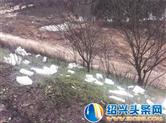 104国道开发区段脏乱差  建筑垃圾、生活垃圾、泡沫箱到处都是