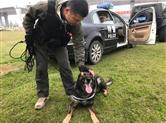 2018全省巡特警系统警犬战术研讨会在舟山斯巴达犬类基地举行