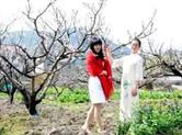 丰惠镇渔门村第三届桃花节 畅游花海，共飨花事盛宴