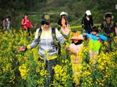上虞区第十届“覆卮山油菜花节”在岭南乡东澄村隆重开幕