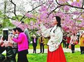 武大因接待赏樱花游客每年投入600万！是否好事？