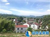 王院乡丰田岭村：美丽花海助力乡村旅游