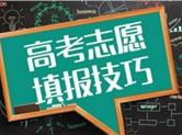 今晚八点起可查高考成绩  志愿填报有章可循