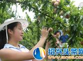 2018“嵊县桃形李”新闻发布会举行