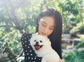 张馨予确认怀孕：送走爱犬安心养胎