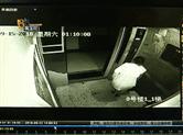 诸暨一打扮时髦的女子电梯里便溺？！监控让人大跌眼镜
