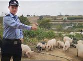 民警搞副业微信上卖猪肉遭举报？真相暖人