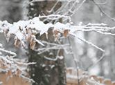 绍兴寒潮来袭！注意雨雪天驾车安全！