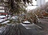 一场大雪！造成绍兴城区发生连环车祸、公交停运、高速关闭…