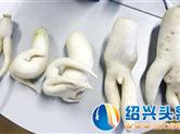 嵊州惊现五个“奇异”白萝卜 外形奇特像《捉妖记》中小精灵的……