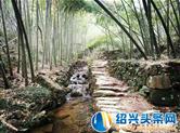 2018浙江美丽乡村特色精品村 绍兴9镇24村上榜