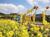 美丽崇仁系列活动 淡山油菜花农旅风情节举行